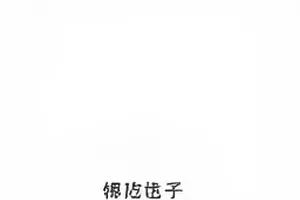《品牌代言撤换公告》封面，产品海报与替换贴纸